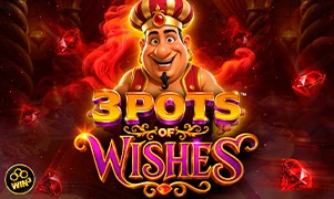 3 Pots of Wishes™